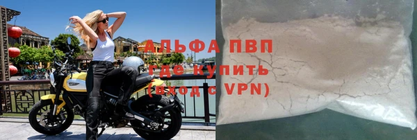 прущие грибы Кукмор
