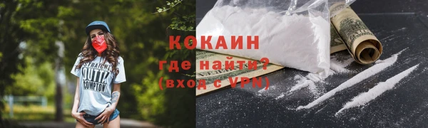 прущие грибы Кукмор
