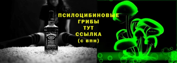 прущие грибы Кукмор