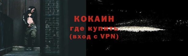 прущие грибы Кукмор