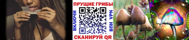 мега ТОР  даркнет состав  Псилоцибиновые грибы Psilocybe  Прокопьевск 