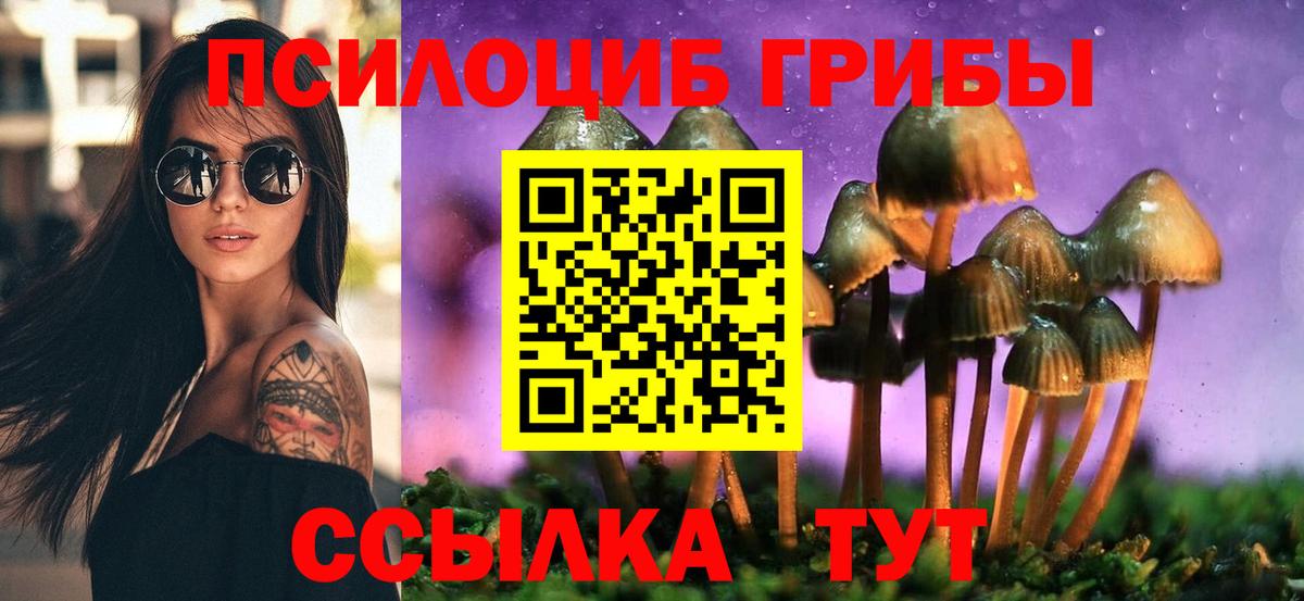Прокопьевск  Псилоцибиновые грибы Psilocybine cubensis  Псилоцибиновые грибы Psilocybine cubensis  Вход с VPN 